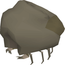 Ammonite Crab.png